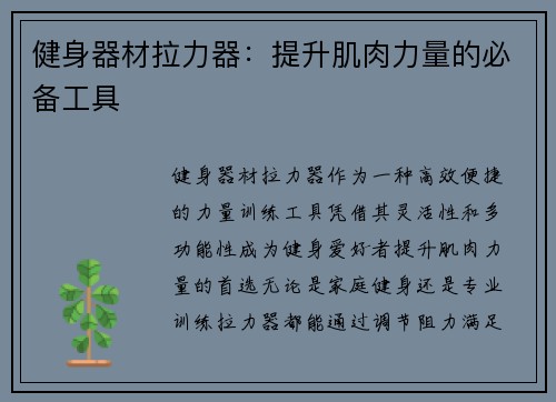 健身器材拉力器：提升肌肉力量的必备工具