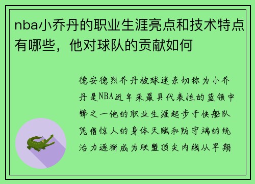 nba小乔丹的职业生涯亮点和技术特点有哪些，他对球队的贡献如何